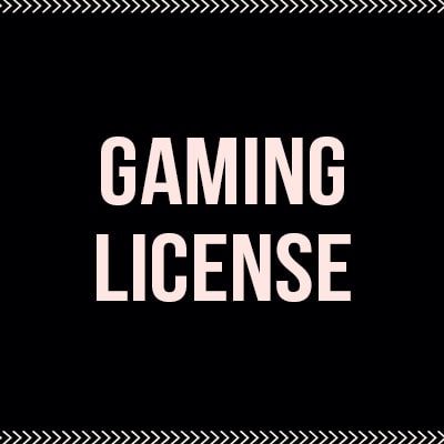 How To Get A Gaming License: What A Beginning Entrepreneur Needs To Know How To Get A Gaming License: What A Beginning Entrepreneur Needs To Know