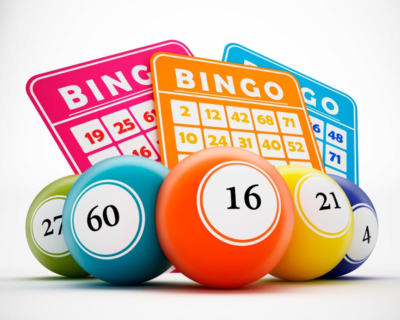 Bingo format establishment