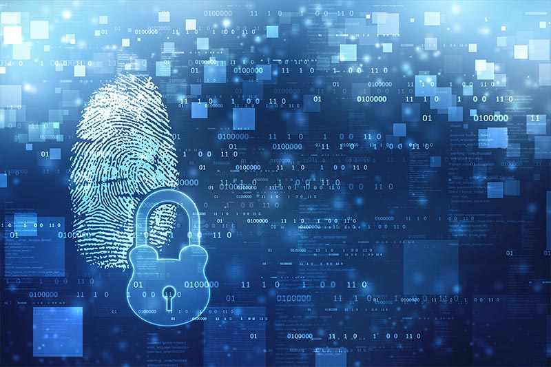 Anti-fraud software against synthetic traffic