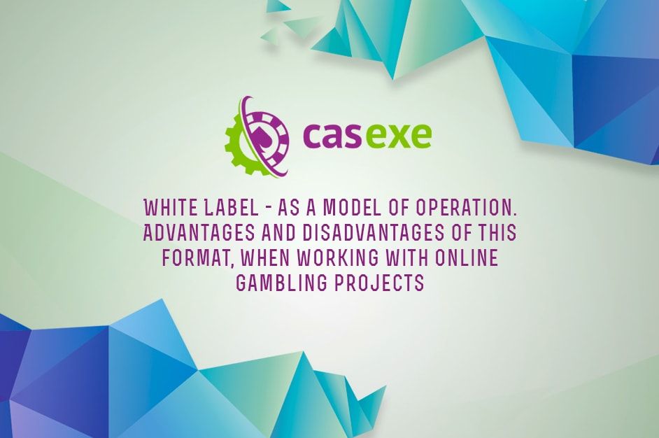 CASEXE: Principles of White Label functioning in online gambling