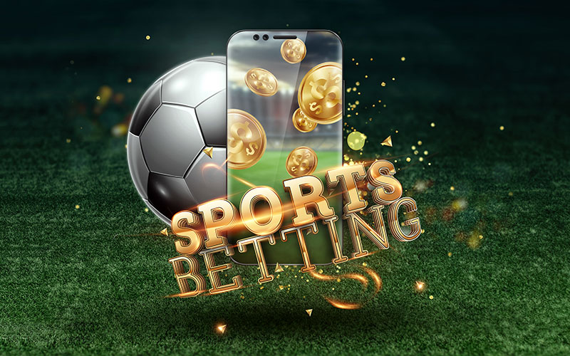 Software for betting Delasport: branded offers